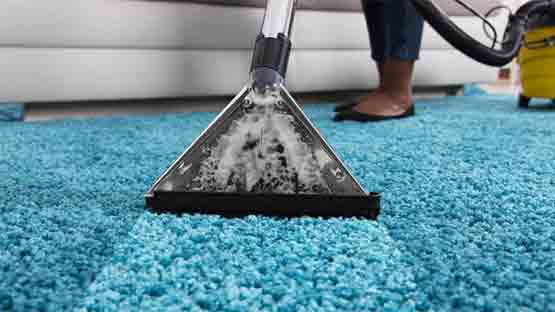 Professional Carpet Cleaning Everton Park