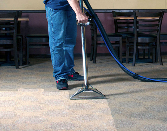 Best Carpet Cleaning Everton Park