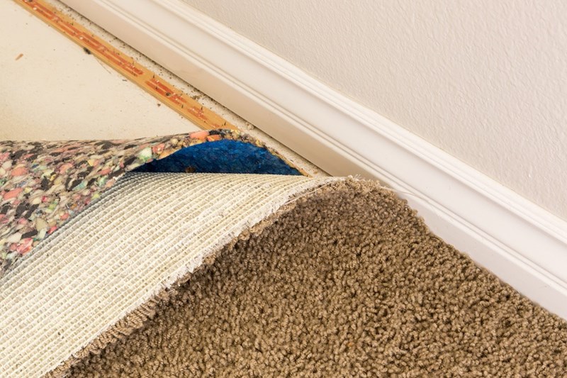Mould Growth In Your Carpet